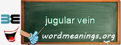 WordMeaning blackboard for jugular vein